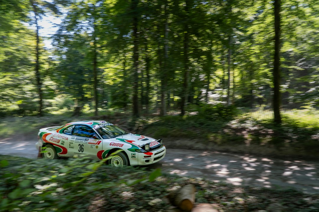 Automóvil de rally compitiendo en un camino de bosque, imagen referencial