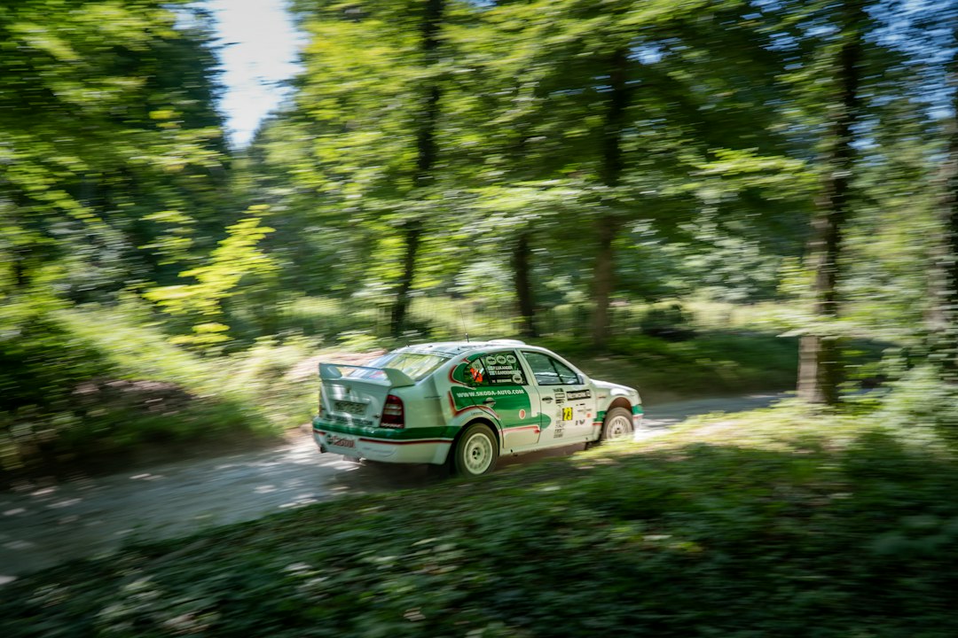 Automóvil de rally en una especial de tierra entre árboles, imagen referencial
